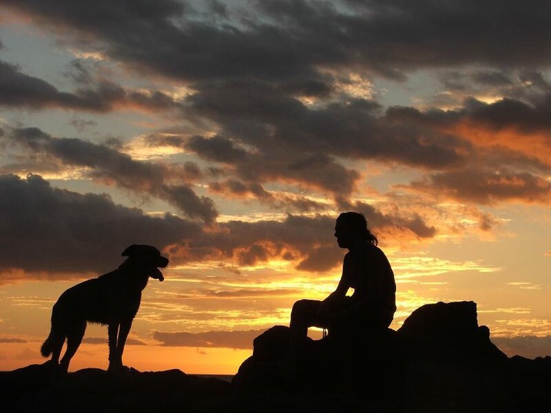 Person and Dog Silhouette — Orange