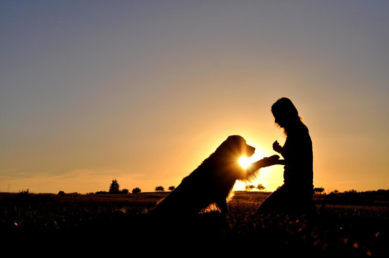 Person and Dog Silhouette