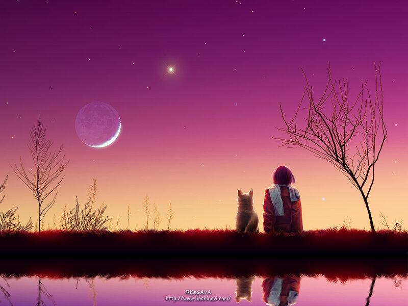 Person and dog under a purple sky
