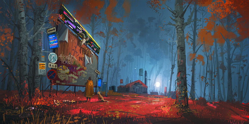 Person and Fox in Forest