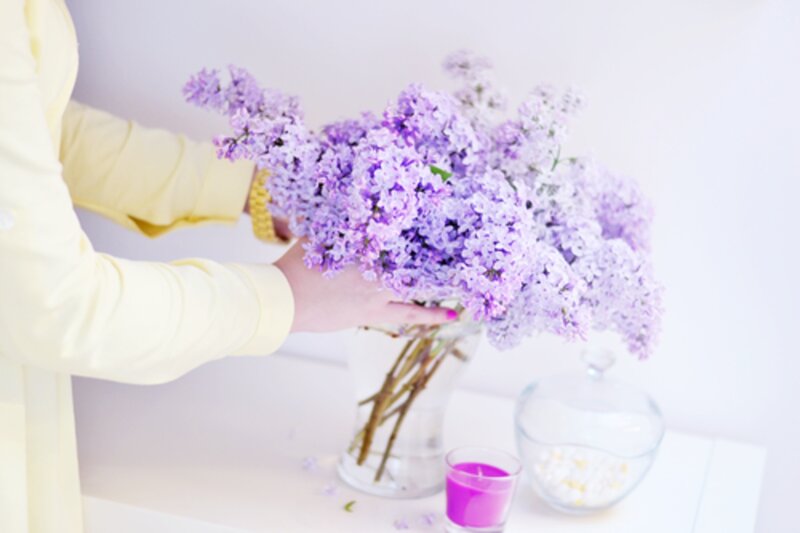 Person Arranging Lilac Flowers