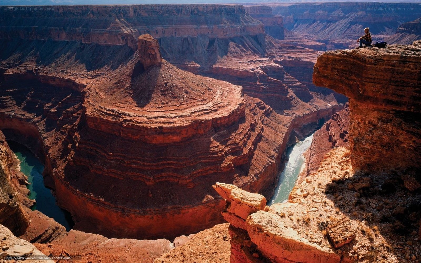 person at canyon overlook