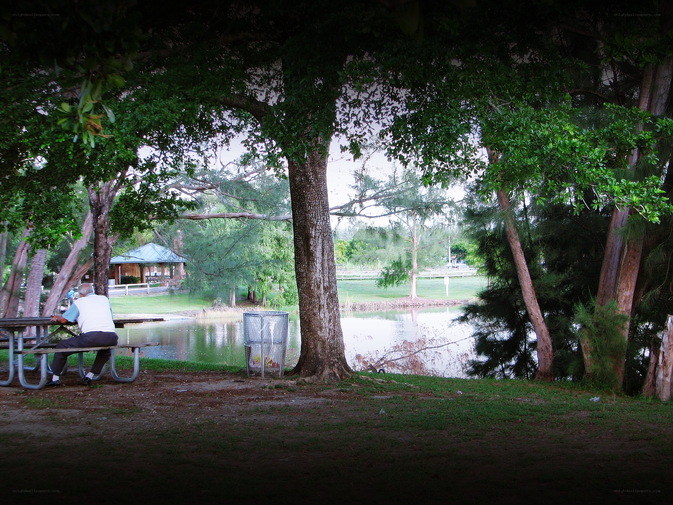 Person at picnic table by pond