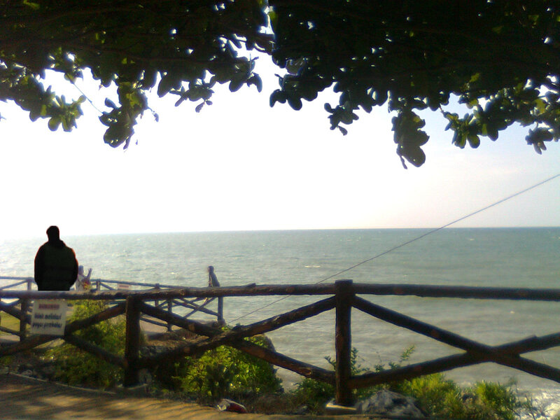 Person at Seaside Viewpoint