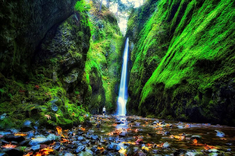 Person at Waterfall — Green, Serene, Autumn