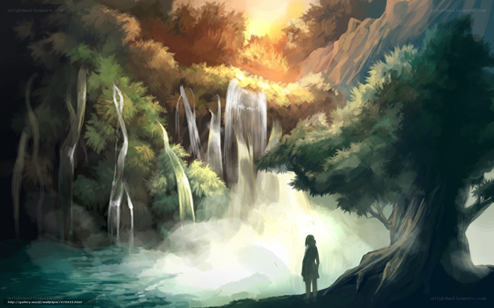 Person at waterfall in forest