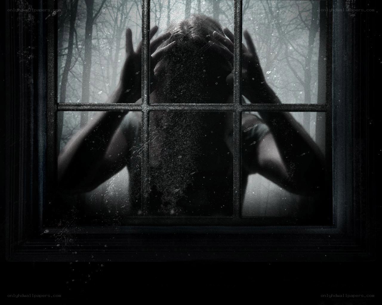 person at window in forest
