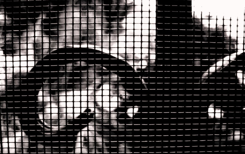person behind a mesh screen