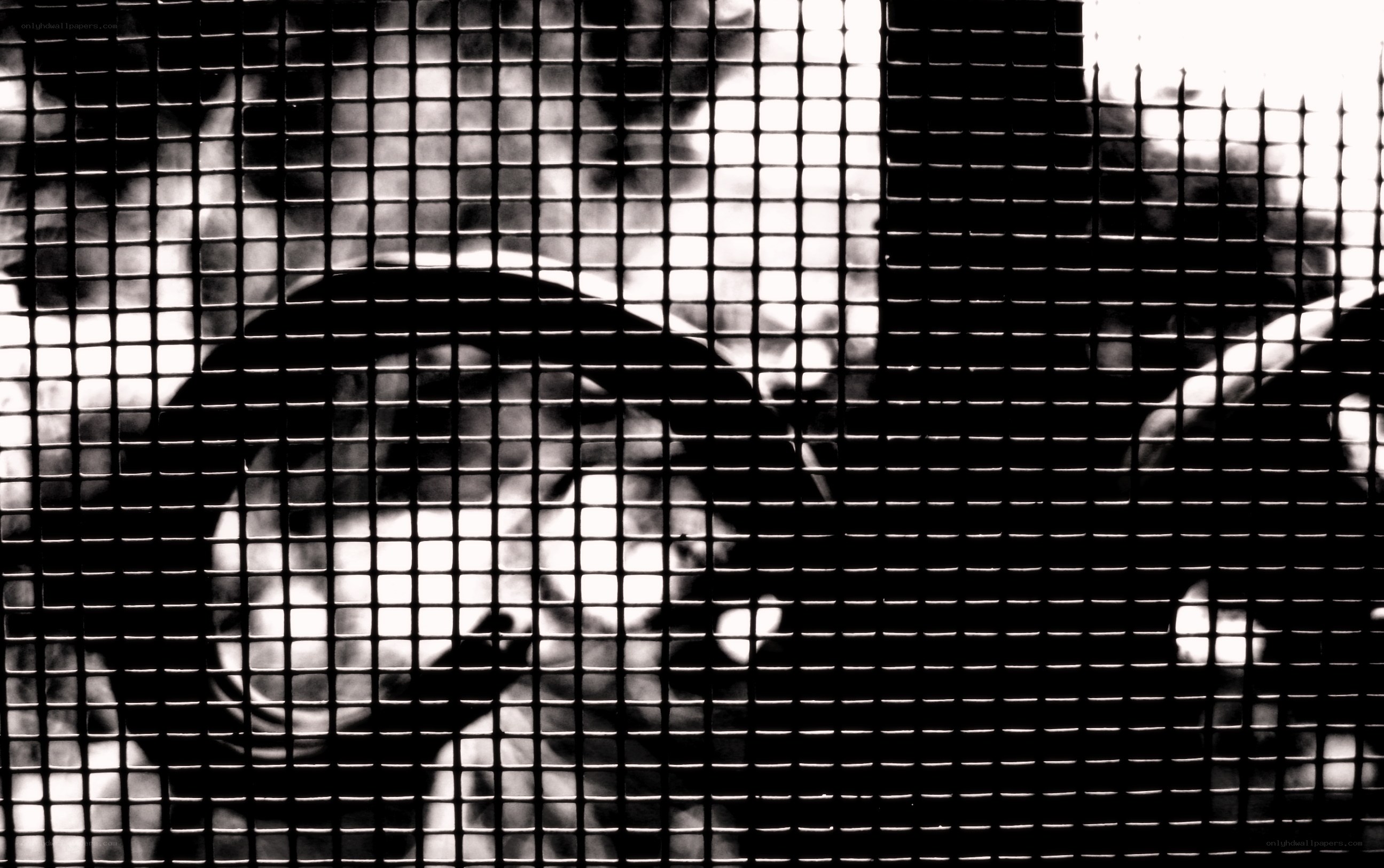 person behind a mesh screen