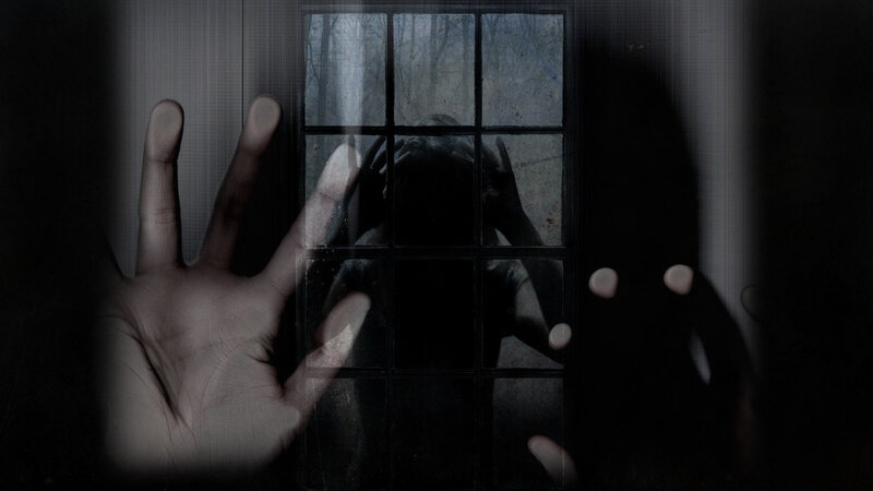 Person Behind Window