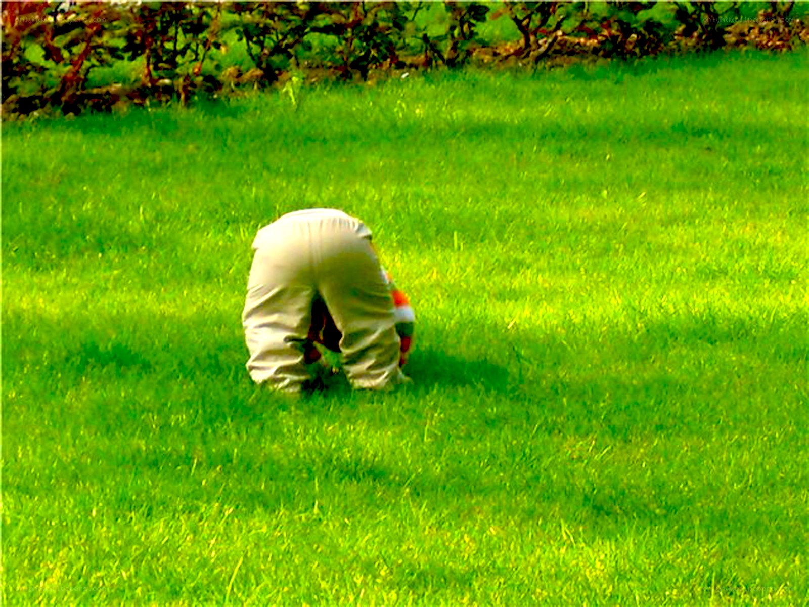 Person bending over in grass