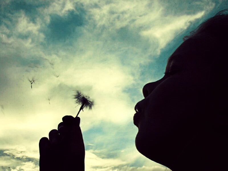 Person Blowing Dandelion — Blue