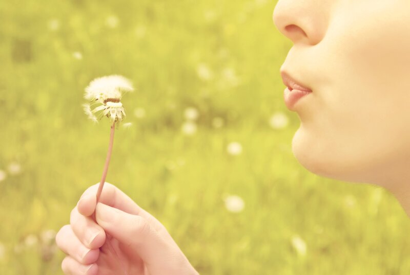 person blowing dandelion seeds