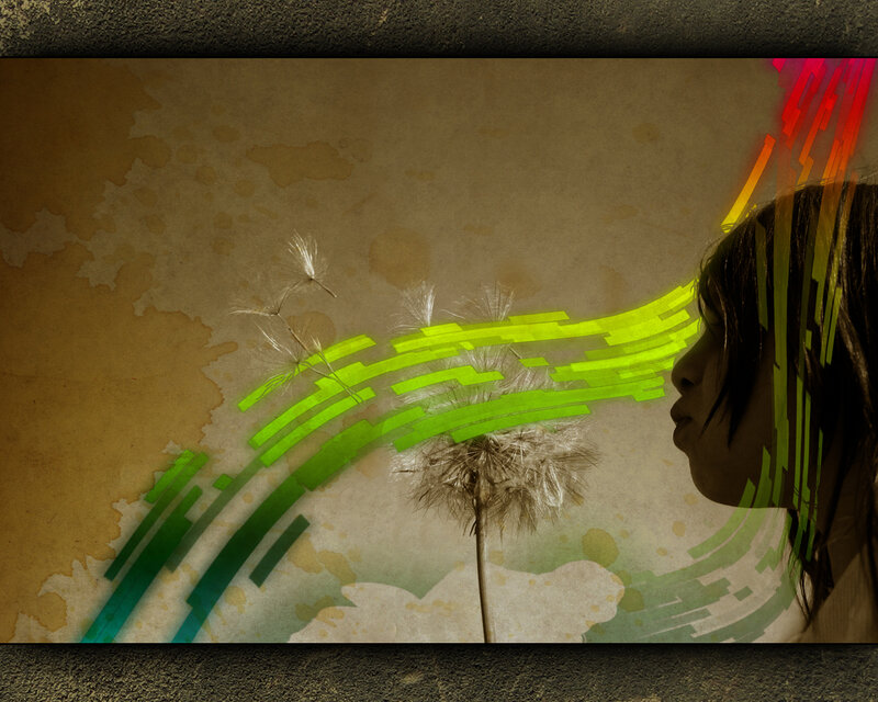 Person Blowing Dandelion