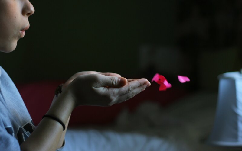 person blowing flower petals