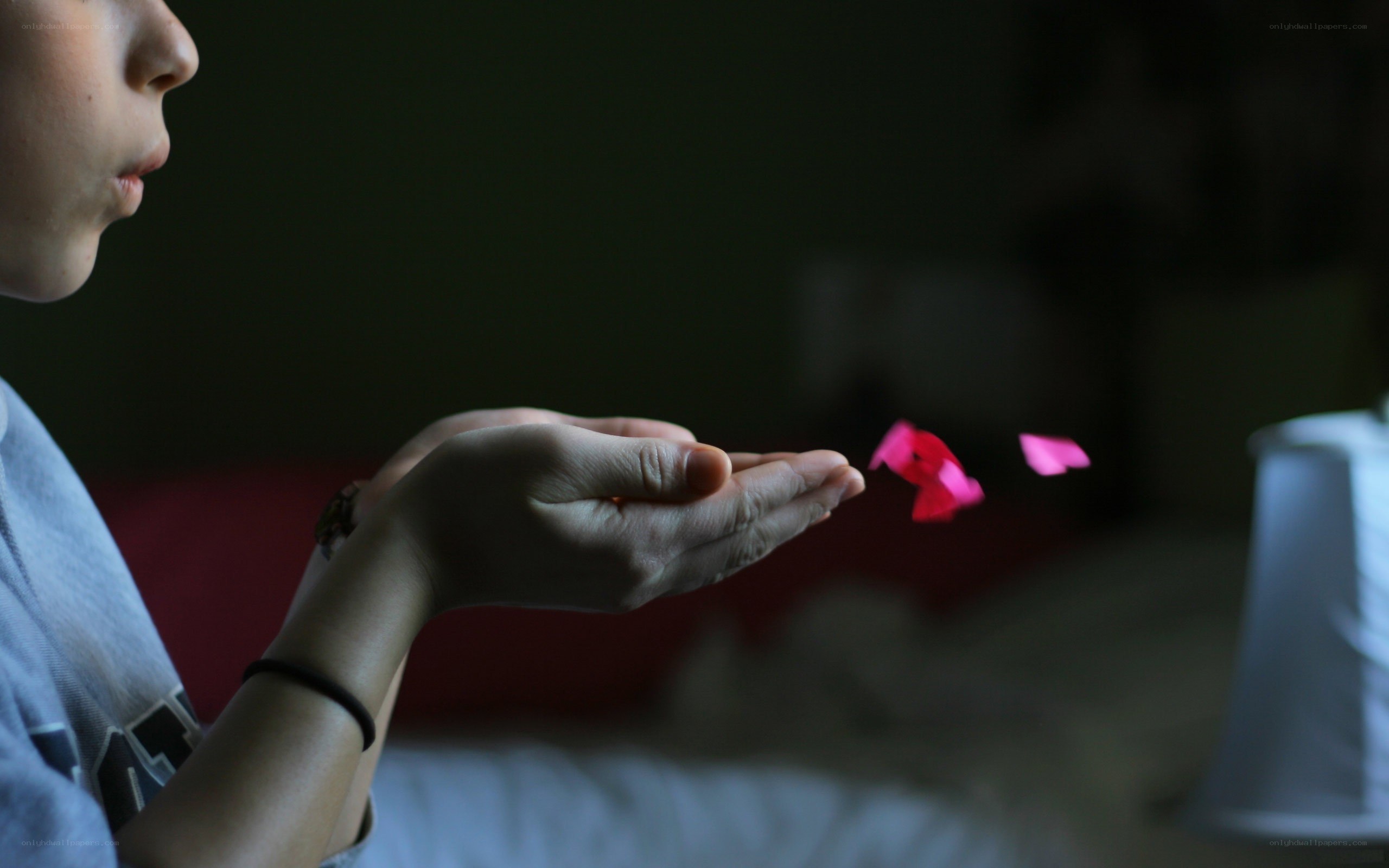 person blowing flower petals