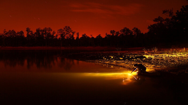 Person by Lake at Night