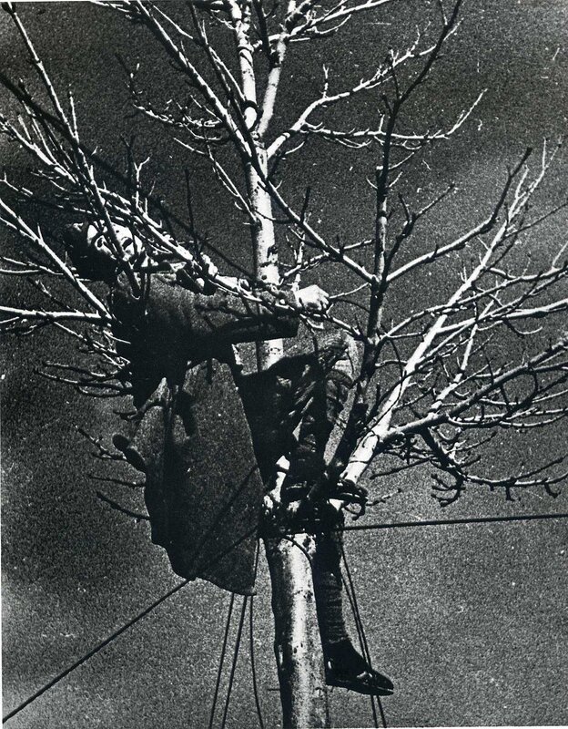 Person climbing a bare tree