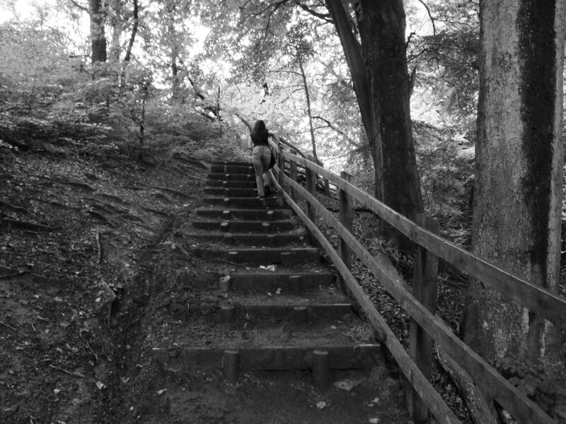 Person climbing forest stairs