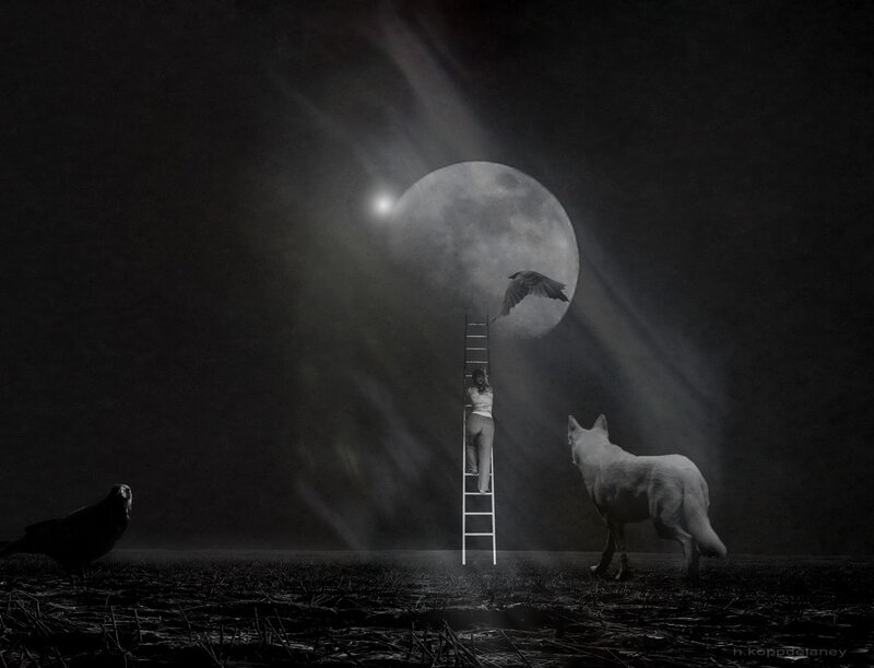 Person Climbing Ladder — Black