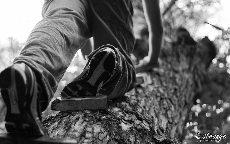 Person Climbing Tree — Black