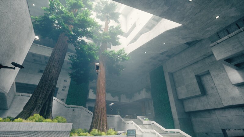 Person Climbing Tree — Green, Serene