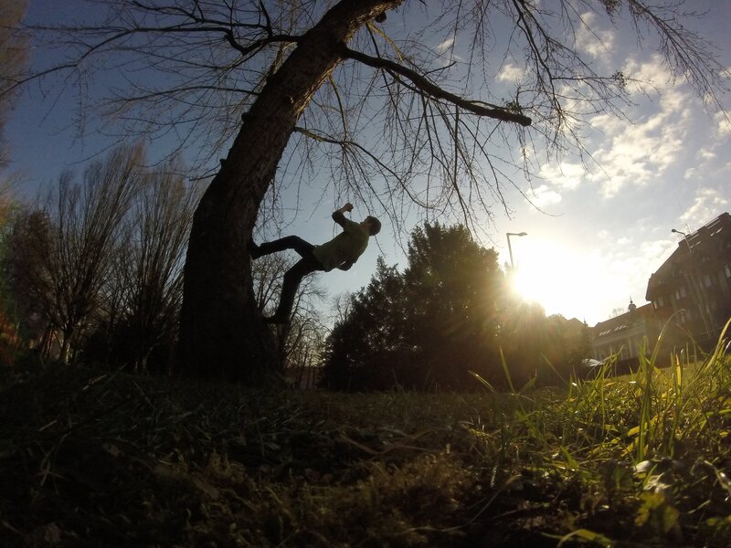 Person Climbing Tree — Green