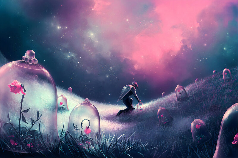 Person Collecting Flowers