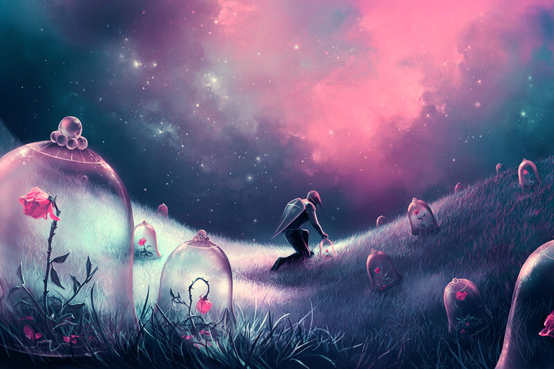 Person Collecting Roses