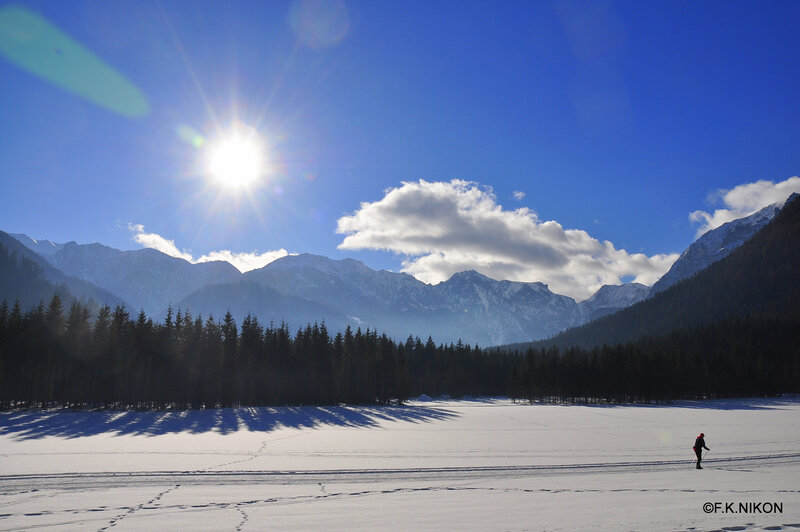 Person Cross-country Skiing — Blue