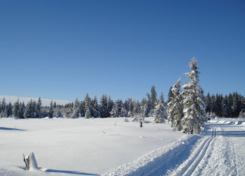 Person Cross-country Skiing — White, Serene