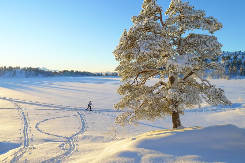 Person Cross-country Skiing — White, Serene, Winter