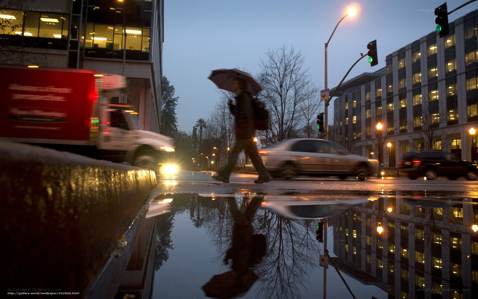Person crossing street with umbrella