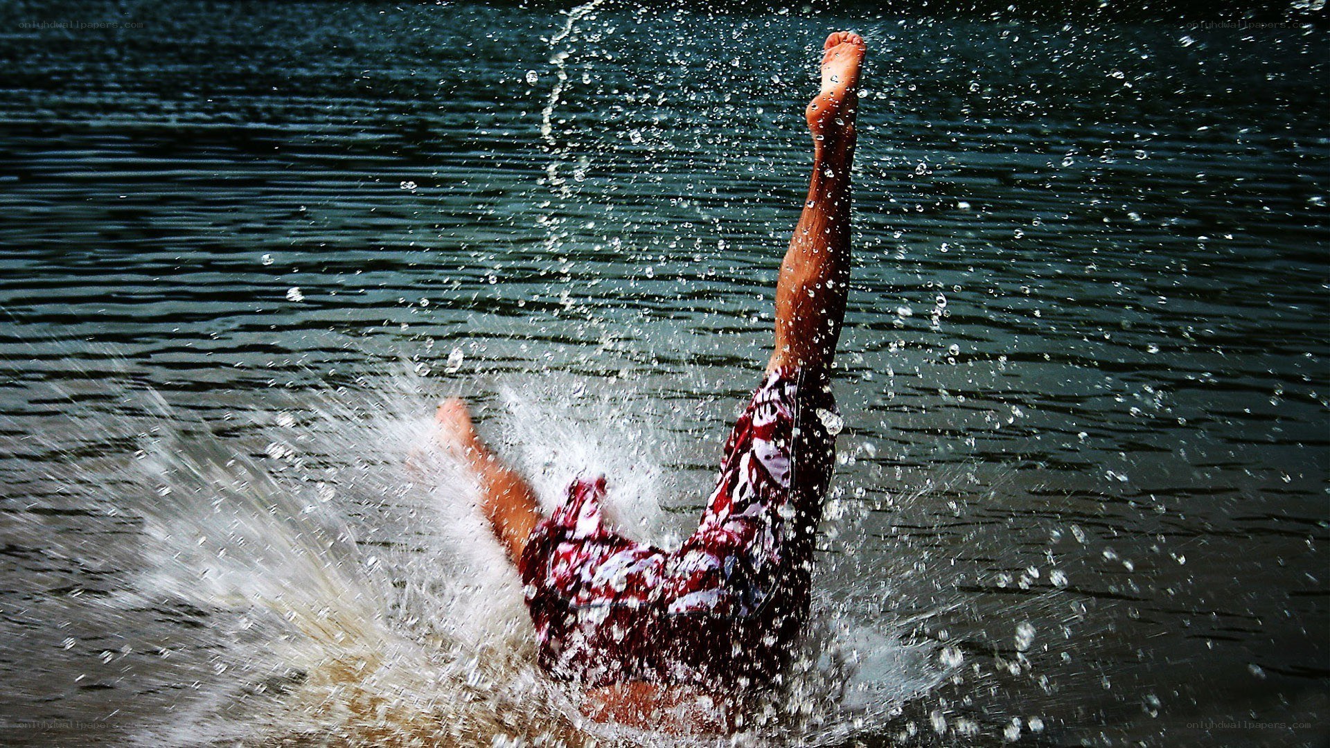 person diving into water