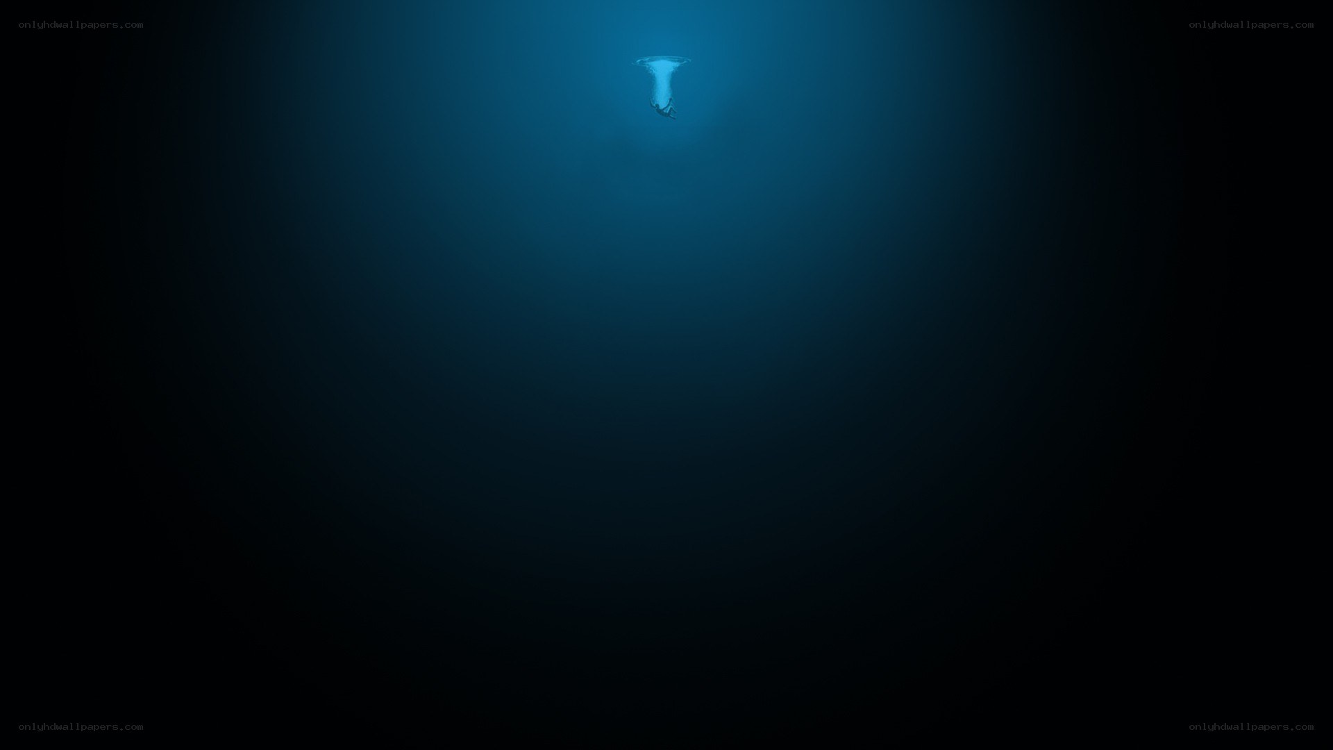 person diving underwater