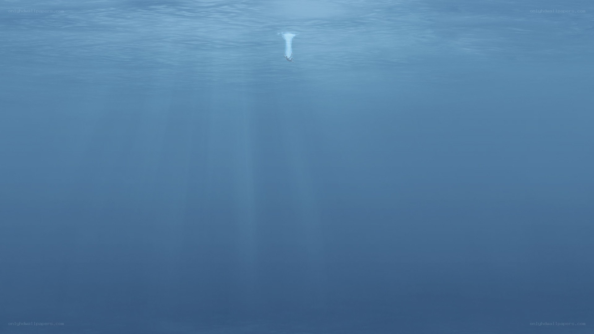 person diving underwater