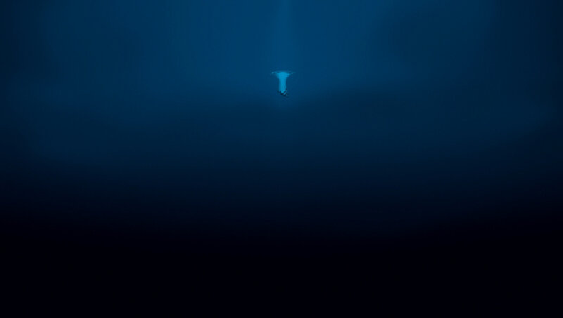 Person Diving Underwater — Blue, Serene, 3d Render