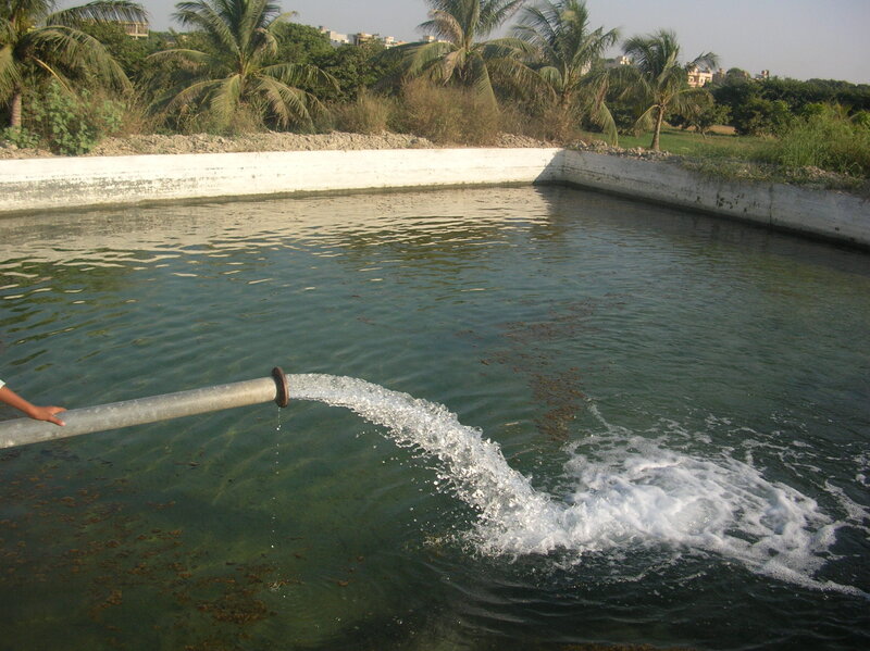 Person Draining Water