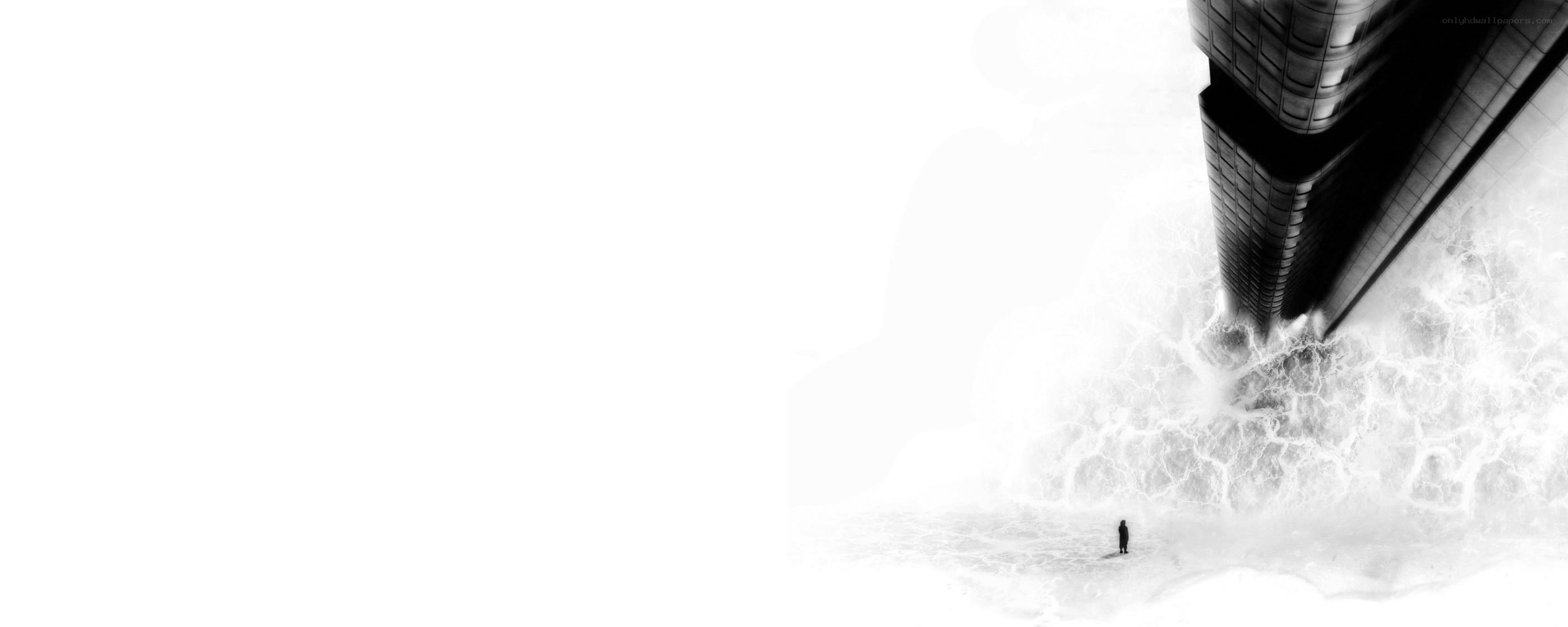 person facing giant wave