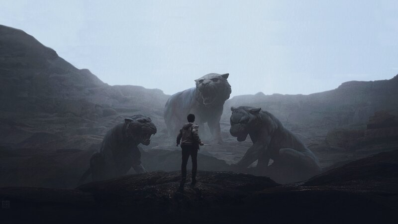 Person Facing Three Tigers