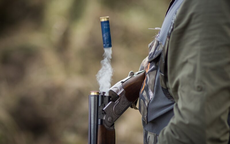 Person Firing Shotgun — Brown