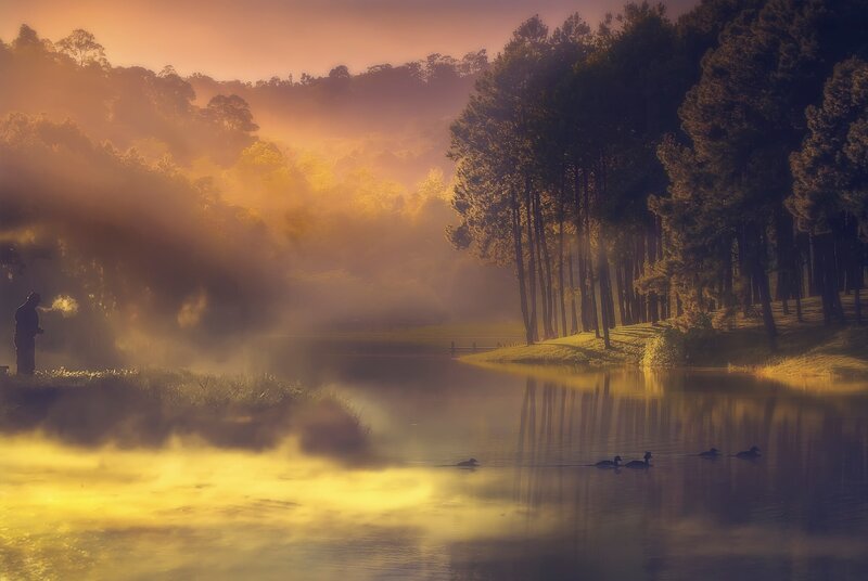 Person Fishing at Dawn — Gold