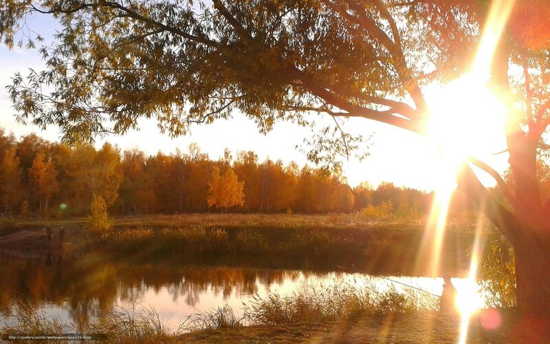 Person Fishing at Sunset — Gold
