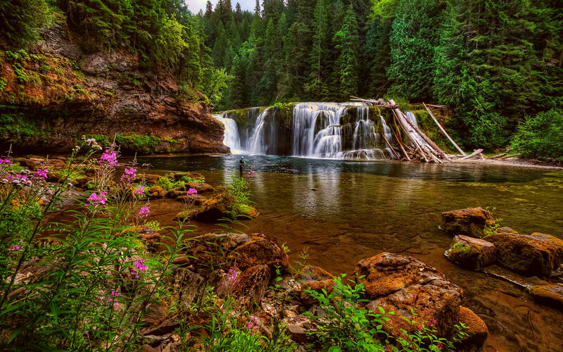 Person Fishing at Waterfall — Green