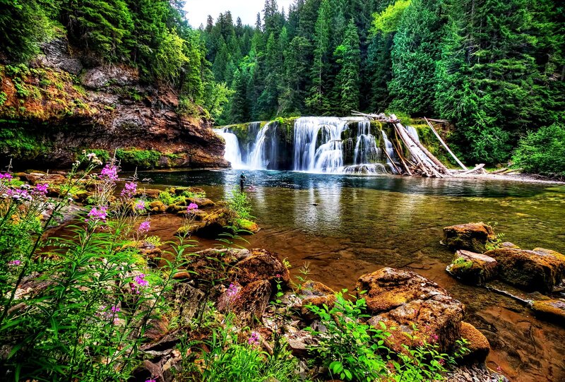 Person Fishing at Waterfall