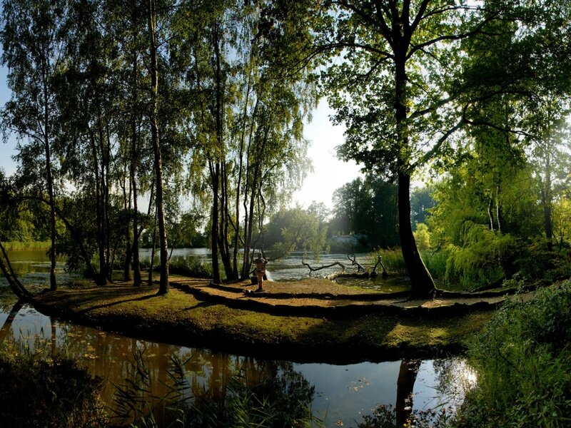 Person Fishing by Lake — Green, Serene
