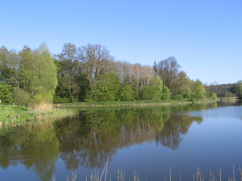 Person Fishing by Lake