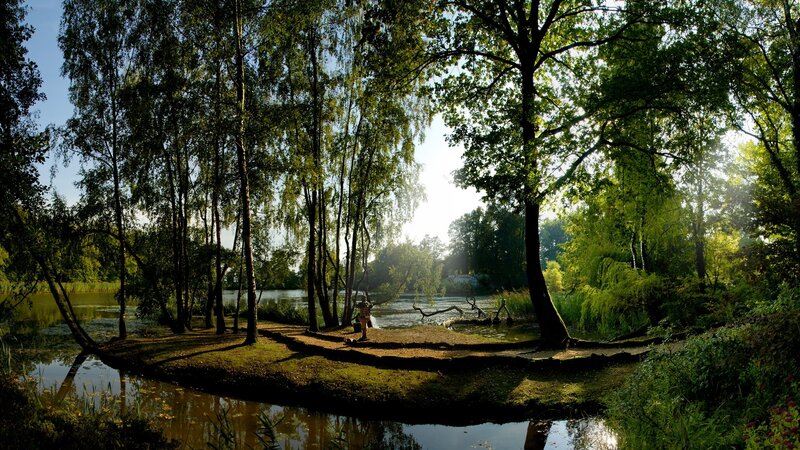 Person Fishing by Pond — Green, Serene, Morning