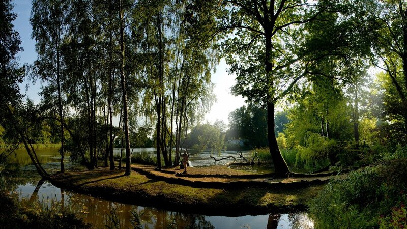 Person Fishing by Pond — Green