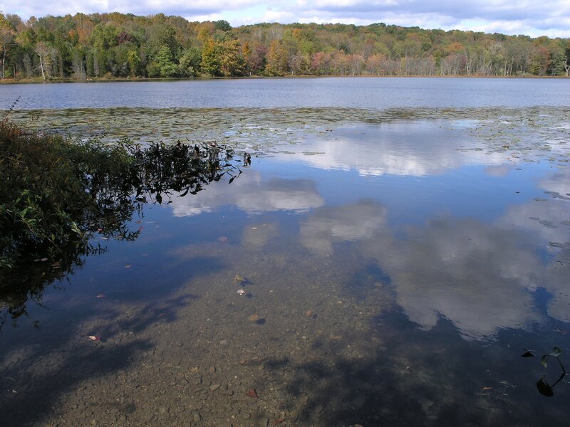 Person Fishing in Lake